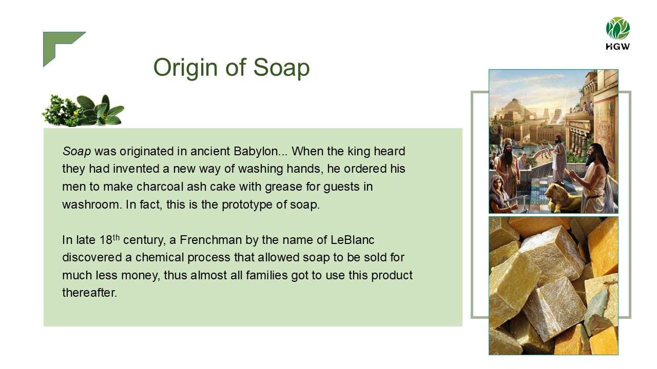 Green World Olive Soap – Gentle Nourishing Care