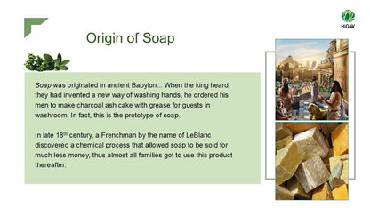 Green World Olive Soap – Gentle Nourishing Care