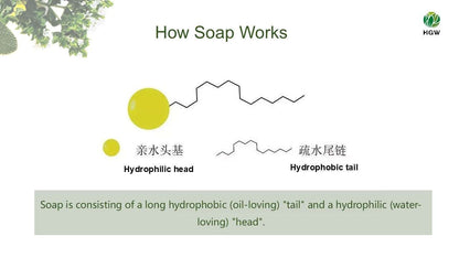 Green World Olive Soap – Gentle Nourishing Care
